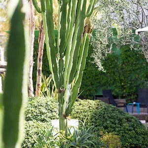 Mercure Centre Notre Dame 4*, Nizza Frankreich